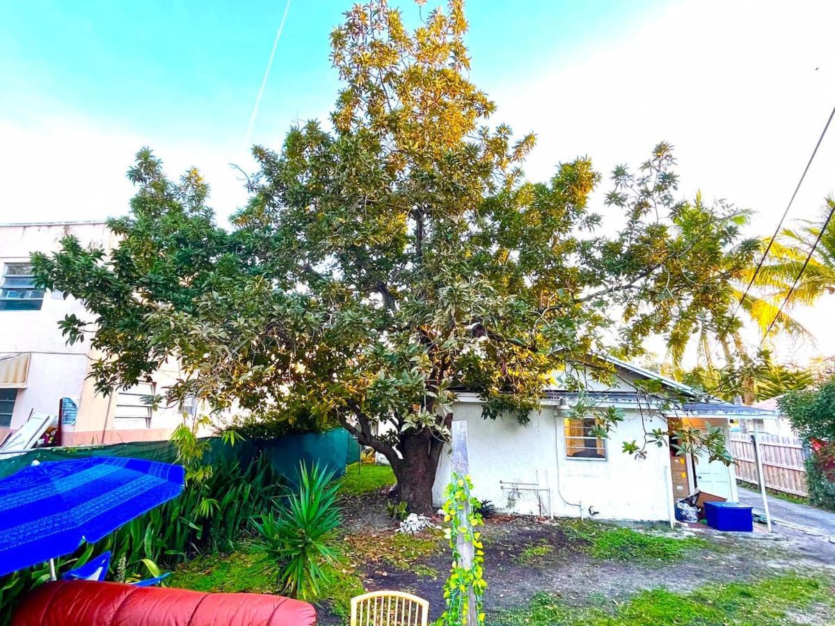 Deons Airbnb
