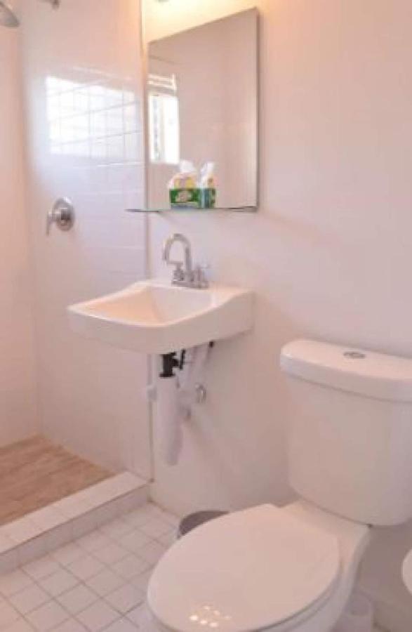 Zen Residences Apartment Miami