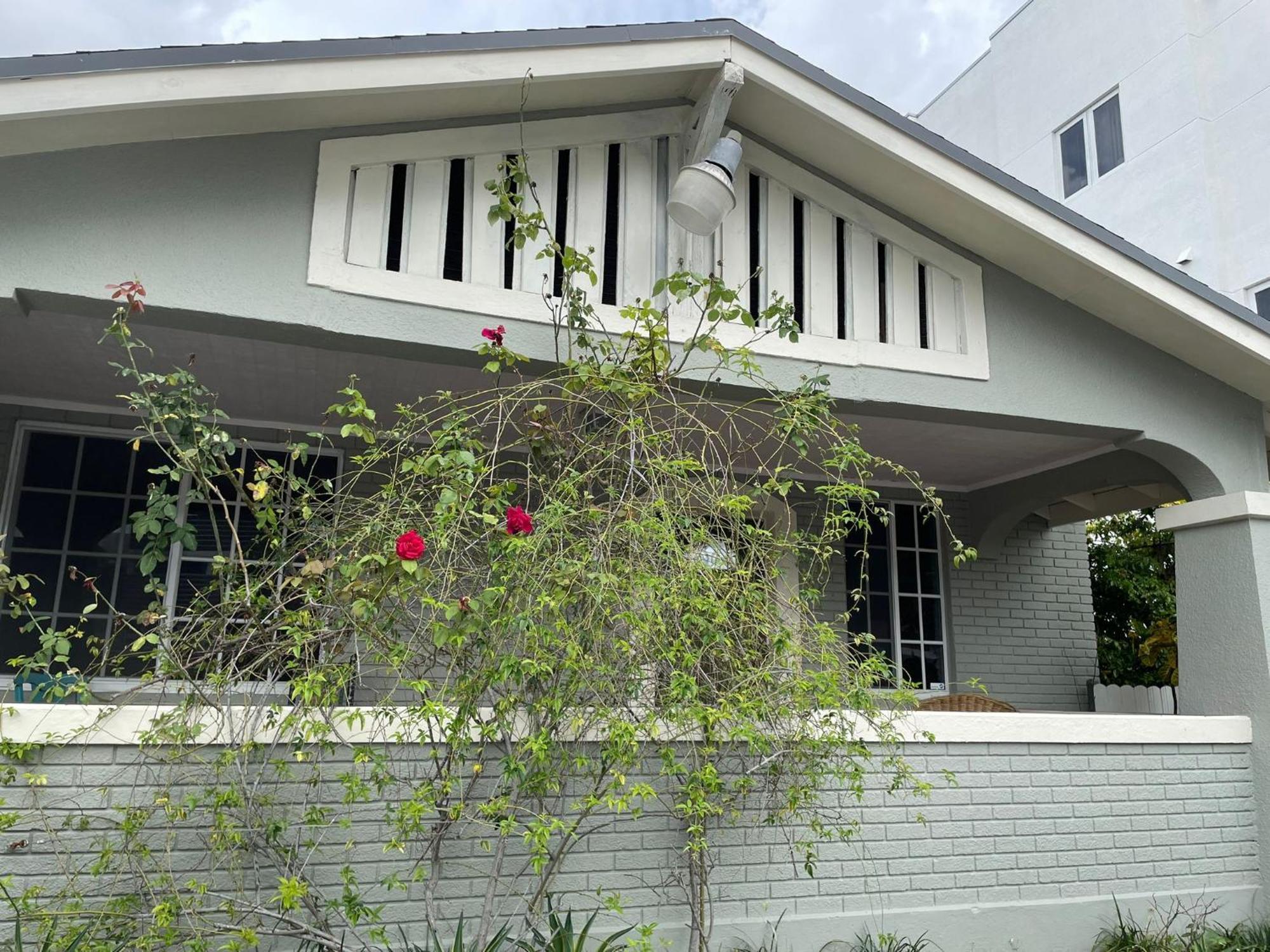 Cozy In The Heart Of Little Havana Homestay Miami